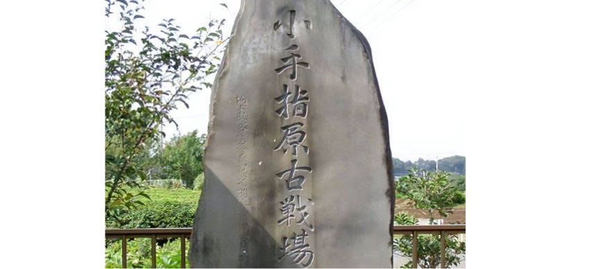 新田義貞ゆかりの地