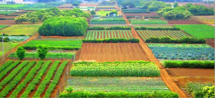 三富新田